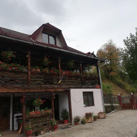 Hotel Casa Cozorici à Sadová Extérieur photo