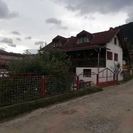 Hotel Casa Cozorici à Sadová Extérieur photo